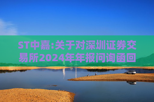 ST中嘉:关于对深圳证券交易所2024年年报问询函回复的公告
