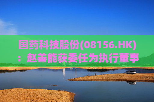 国药科技股份(08156.HK)：赵善能获委任为执行董事