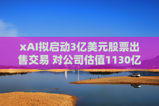 xAI拟启动3亿美元股票出售交易 对公司估值1130亿美元