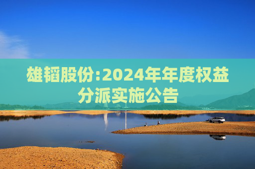 雄韬股份:2024年年度权益分派实施公告