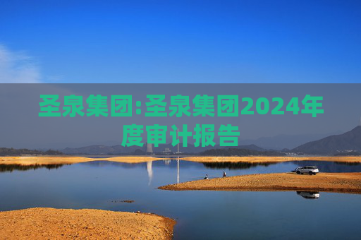 圣泉集团:圣泉集团2024年度审计报告  第1张