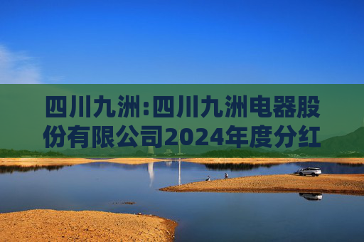 四川九洲:四川九洲电器股份有限公司2024年度分红派息实施公告  第1张