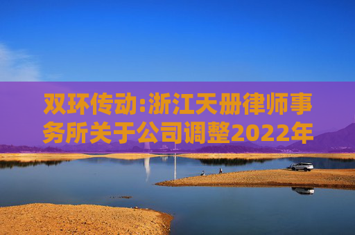 双环传动:浙江天册律师事务所关于公司调整2022年股票期权激励计划行权价格的法律意见书