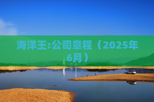 海洋王:公司章程（2025年6月）  第1张