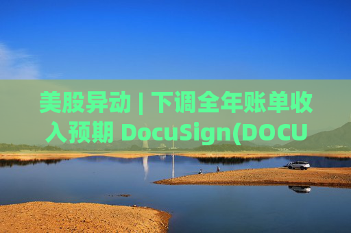 美股异动 | 下调全年账单收入预期 DocuSign(DOCU.US)大跌超18%