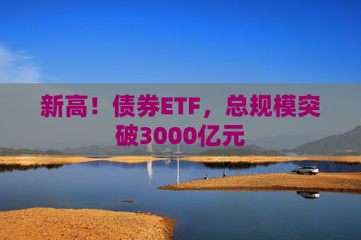 新高！债券ETF，总规模突破3000亿元