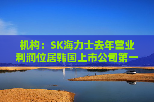 机构:SK海力士去年营业利润位居韩国上市公司第一,首次超过三星电子