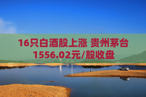 16只白酒股上涨 贵州茅台1556.02元/股收盘