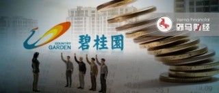 杨惠妍被罚、董事会力挺！碧桂园千亿债务危机解除了吗？