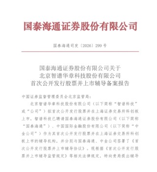 港股大模型第一股5日狂飙138%，A股IPO有新进展