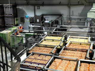 金融暖意 装满你的新春购物车