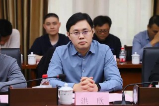 1989年出生，博士洪欣拟任新职