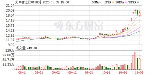 大中矿业：无逾期担保累计金额