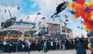 祥源控股拟23亿港元并购海昌海洋公园，专业败给了资本