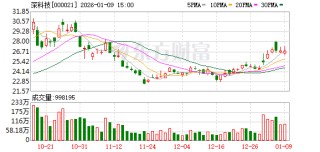 深科技：截至2025年12月31日股东户数为225560户