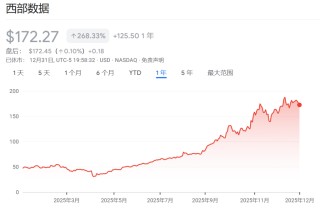 2025年美股最强Top 10，存储占了3只