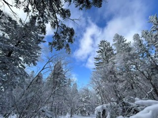 七成内房股退市潮来袭 建业地产困局待破