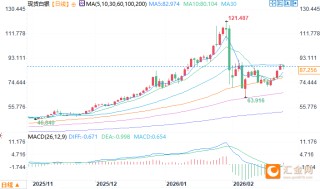 基金经理：金银长期涨势驱动因素仍然存在