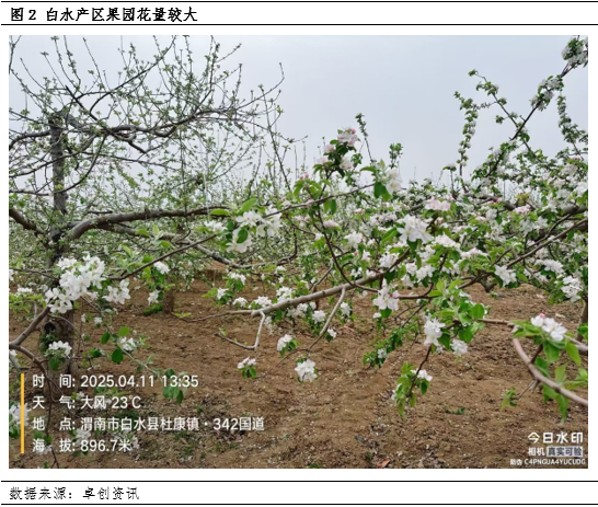 【花期调研】低温、大风或增加挂果欠佳的概率  第4张