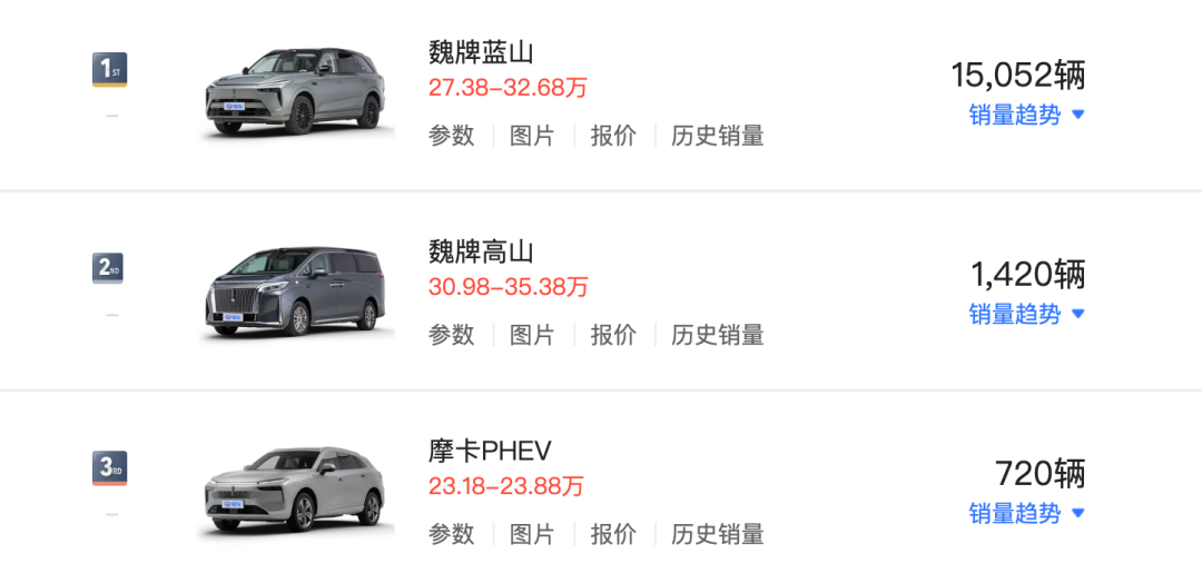 蓝山焕新版上市！魏建军：不会放弃魏牌  第4张