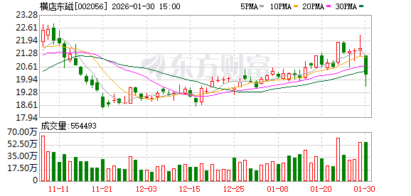 横店东磁：公司已在东南亚、南亚等地围绕核心业务完成了战略性产能布局  第1张