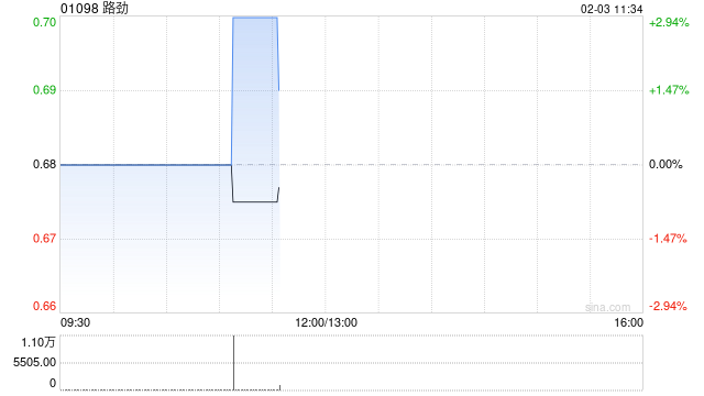路劲：针对全资附属公司新选的清盘申请聆讯延期  第1张