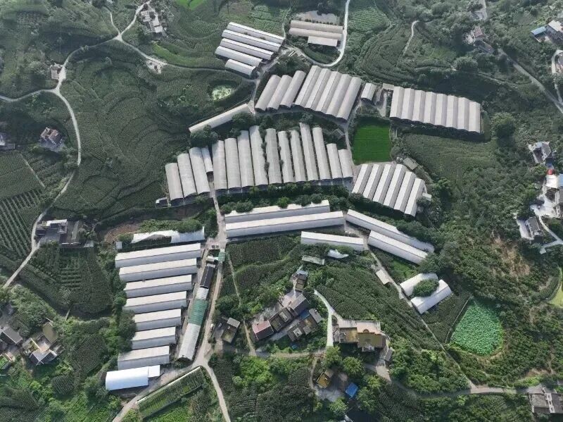 恒丰银行为新春“肉篮子”添“金”  第1张