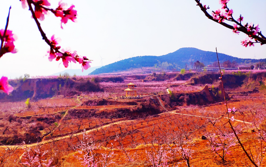 【申万宏源研究春节见闻】山东肥城:君子之邑山水秀,宜居宜商迎客来 第2张 【申万宏源研究春节见闻】山东肥城:君子之邑山水秀,宜居宜商迎客来 第2张