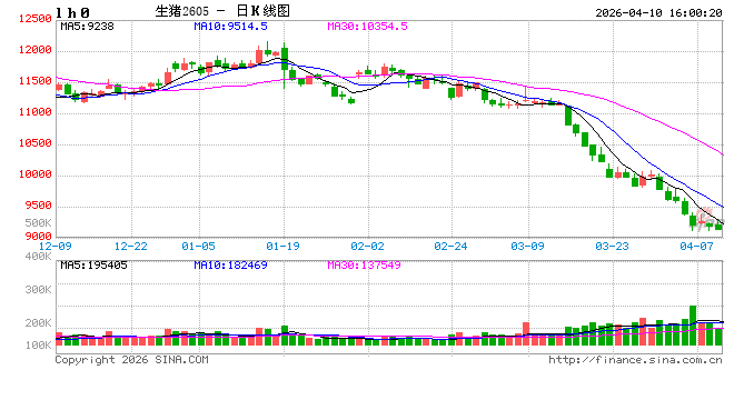 高瞻远“猪”:行业深度亏损下 3月存栏分化与4月走势展望 第2张 高瞻远“猪”:行业深度亏损下 3月存栏分化与4月走势展望 第2张