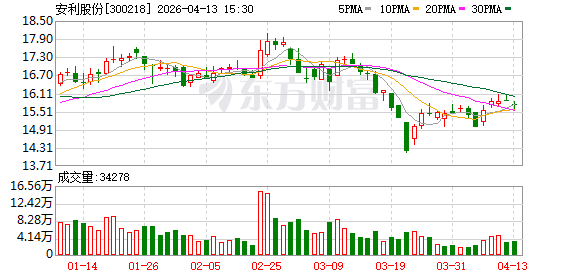安利股份：2025年年度报告摘要  第1张