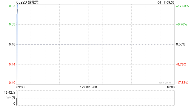 紫元元完成发行合共8600万股认购股份 净筹约4250万港元  第1张